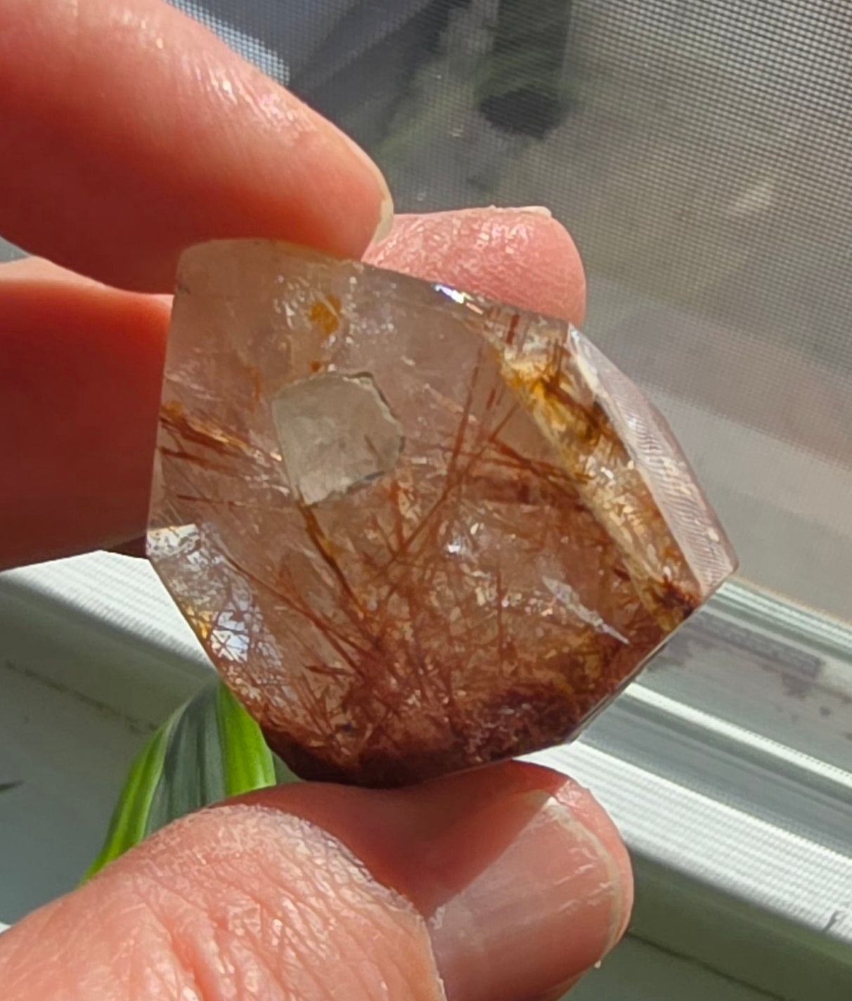 Polished Copper Rutilated Quartz Free-Form featuring intricate rutile inclusions