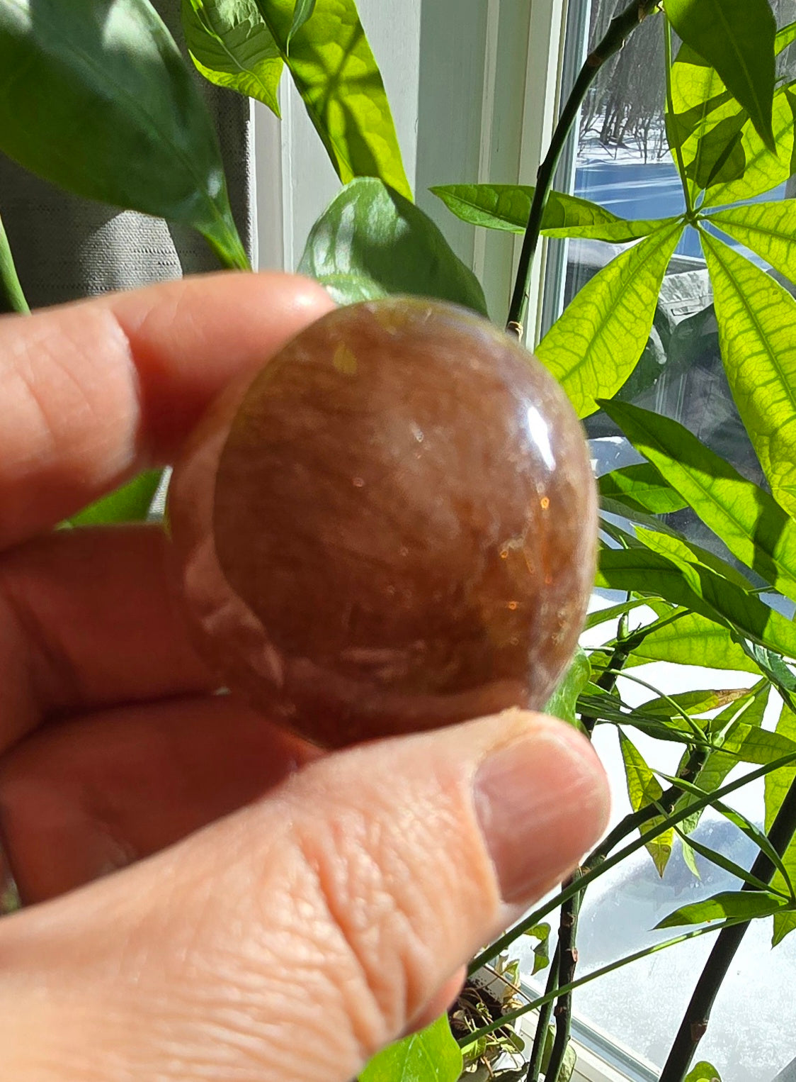 Copper Rutilated Quartz Lens – Natural Quartz from Brazil