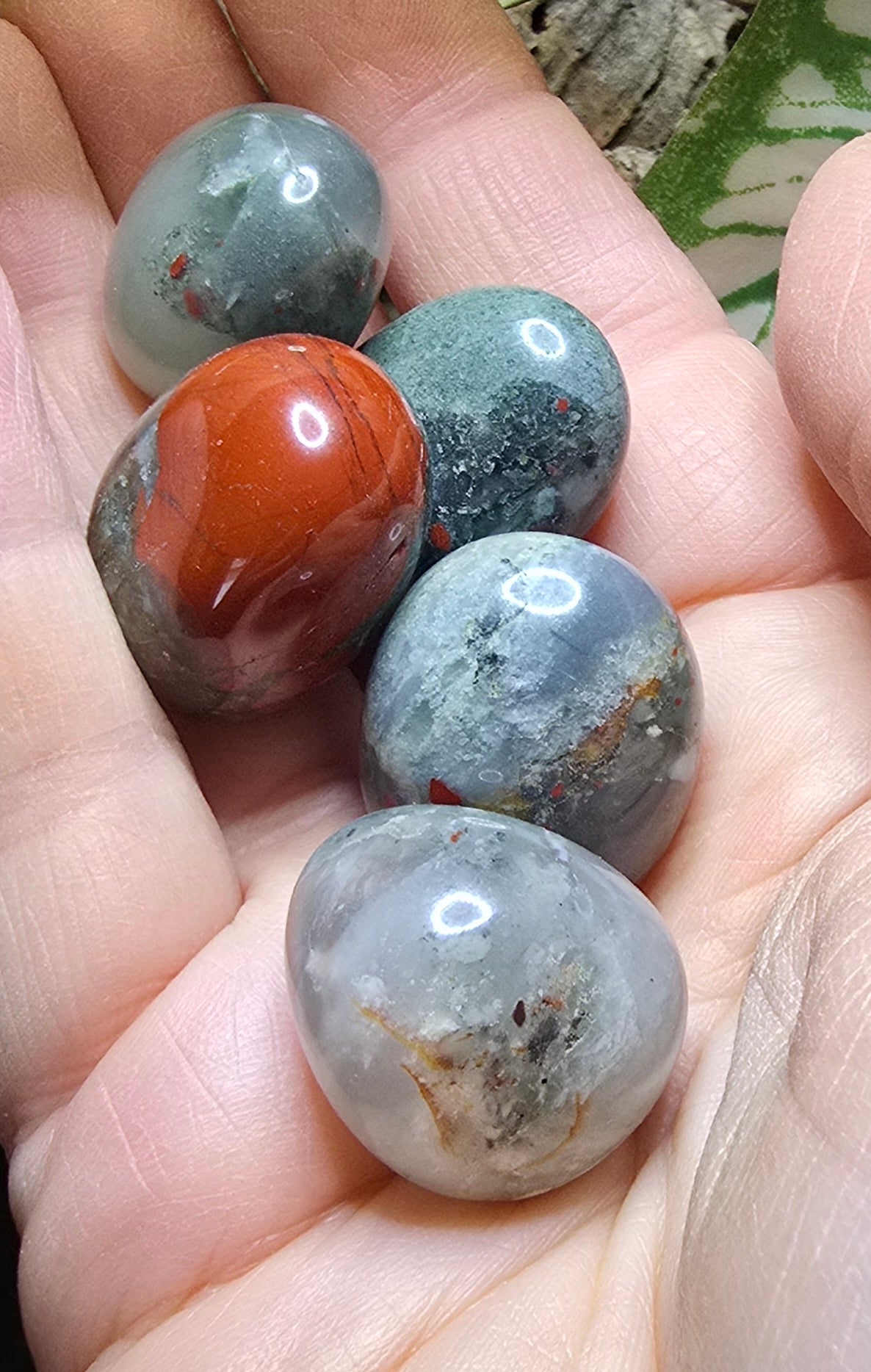 rn-image_picker_lib_temp_8e5beb56-7008-4207-a5c1-f55eee16822a