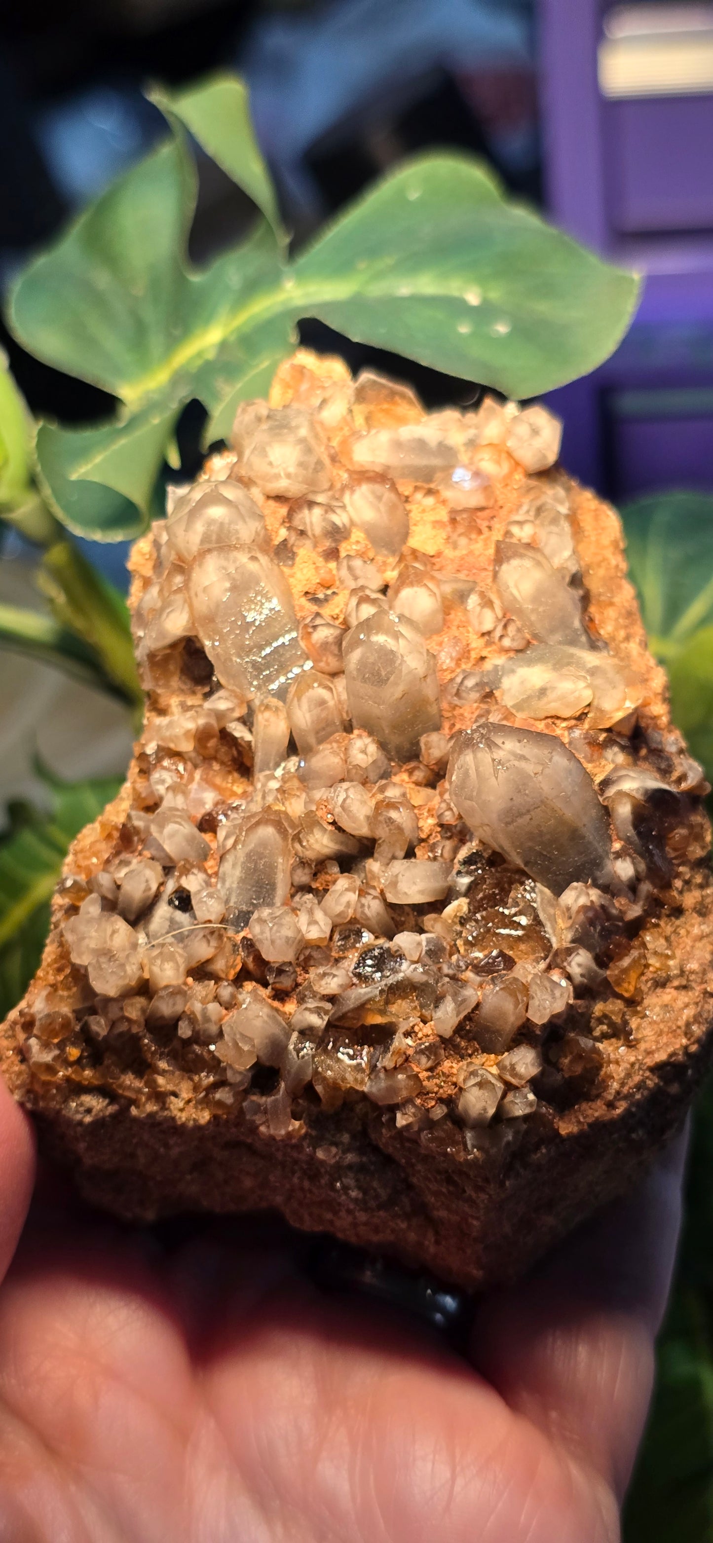 Orange River White Phantom Quartz – Orange River, South Africa Natural Mineral Specimen