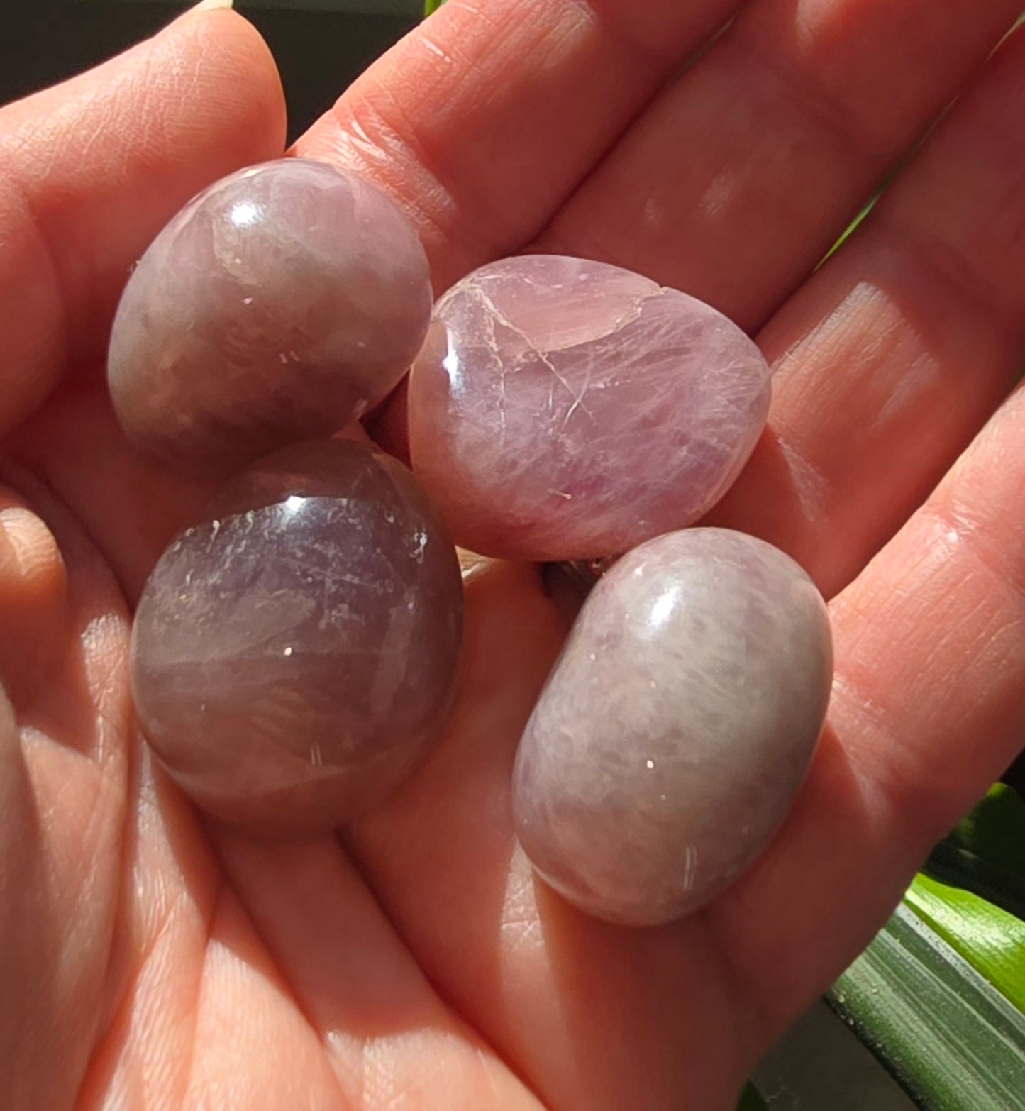 Purple Rose Quartz Tumble Stones – Natural Quartz