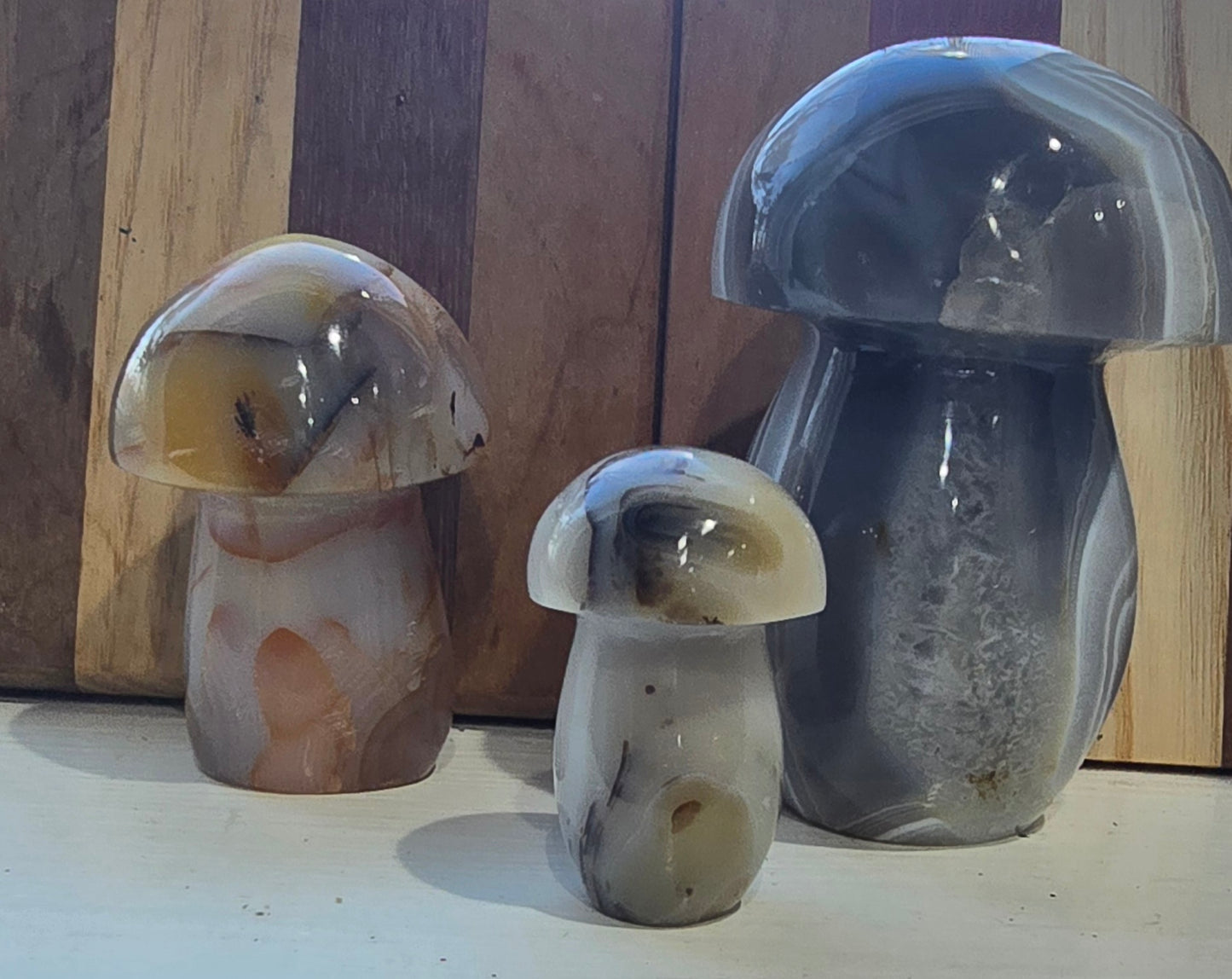 Agate Mushroom Carvings – Polished Natural Agate