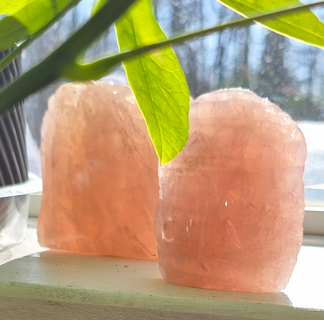 Rose Quartz Half Polished Cut Base – Natural Quartz