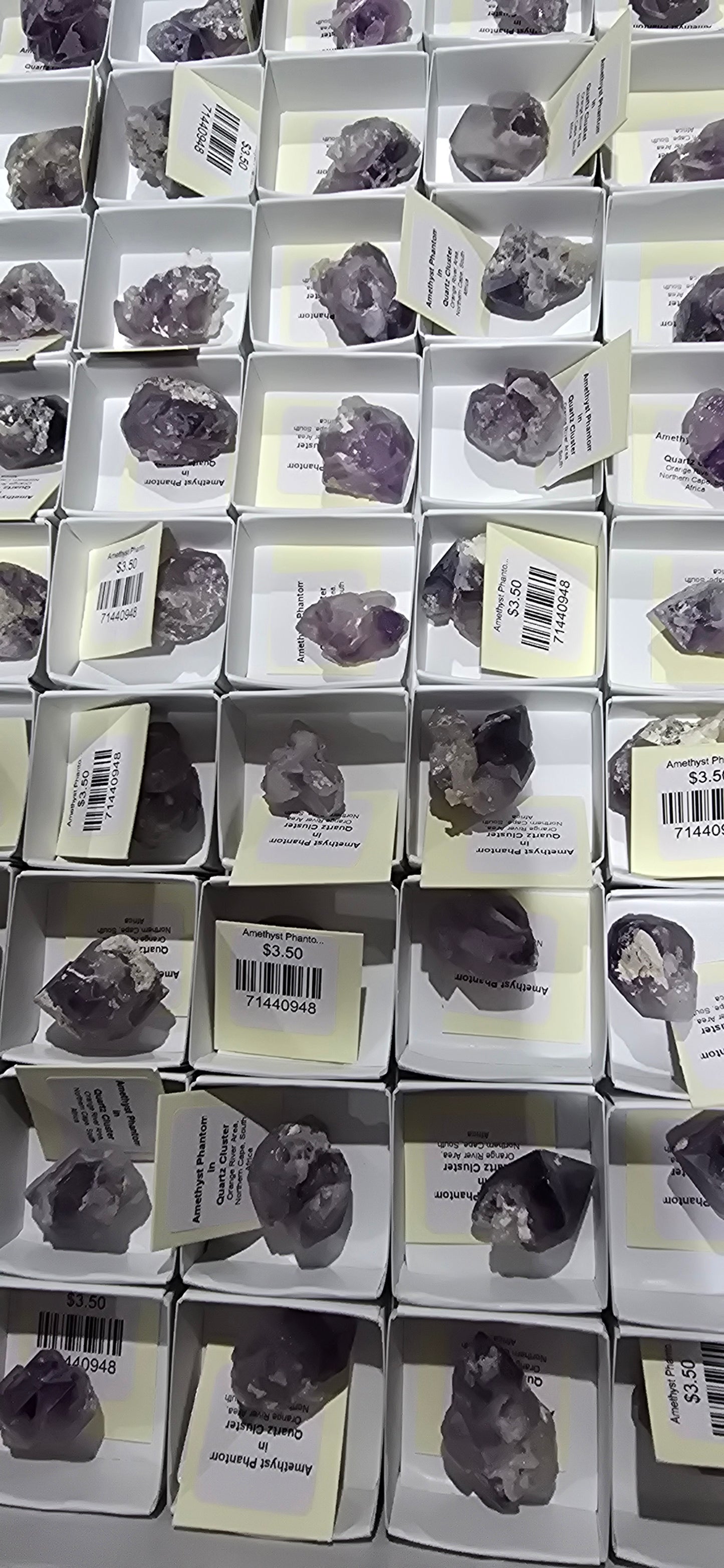 Amethyst Phantom in Quartz -20