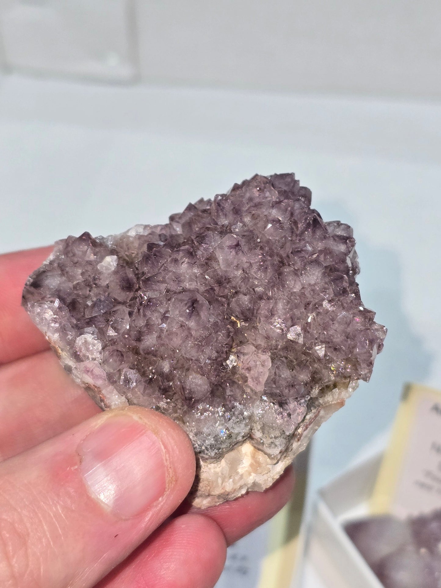 Amethyst Clusters from South Africa – Natural Mineral Specimen