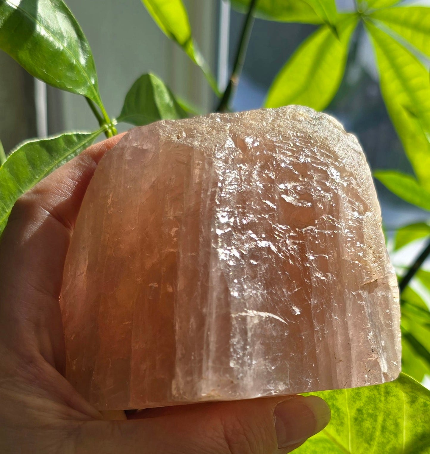 Rose Quartz Half Polished Cut Base – Natural Quartz