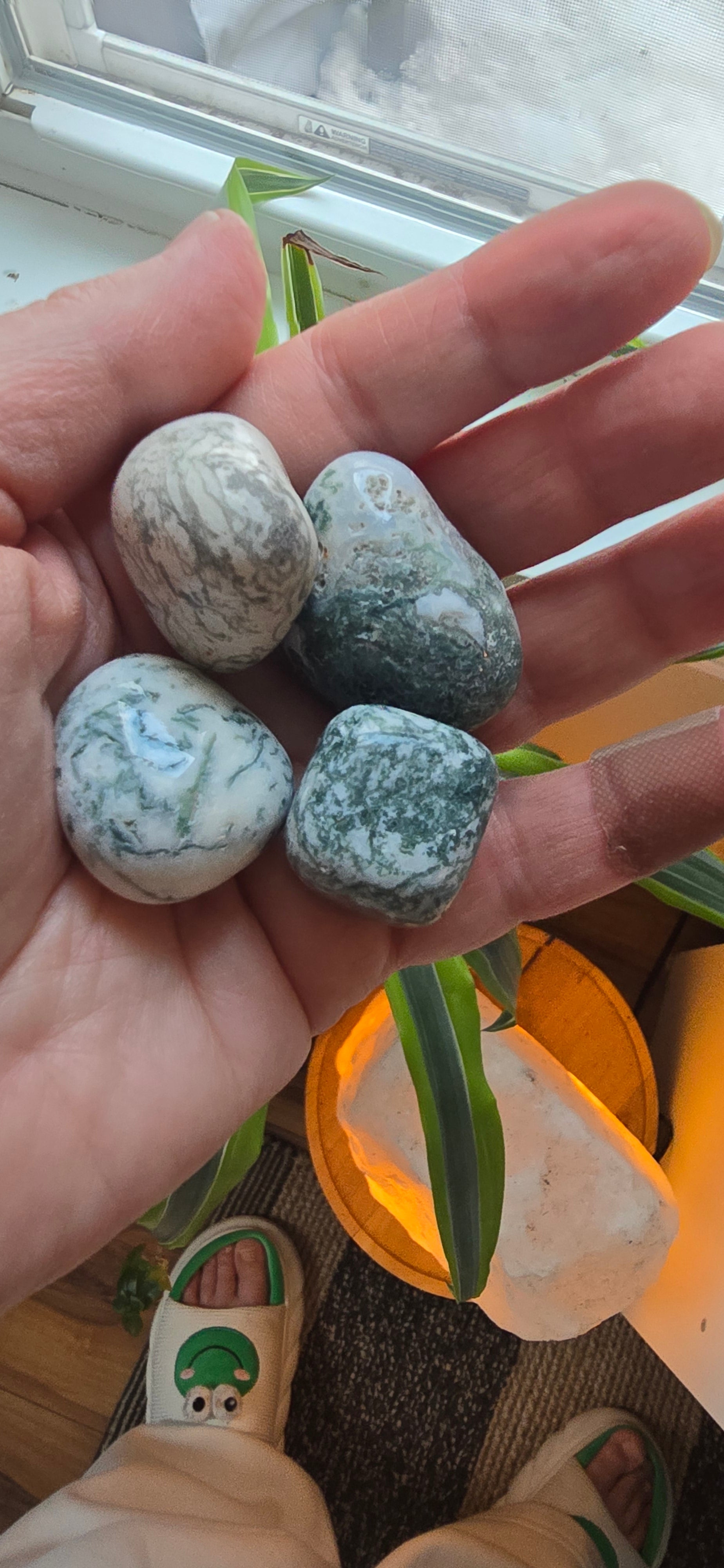 Collection of Tree Agate Tumbles