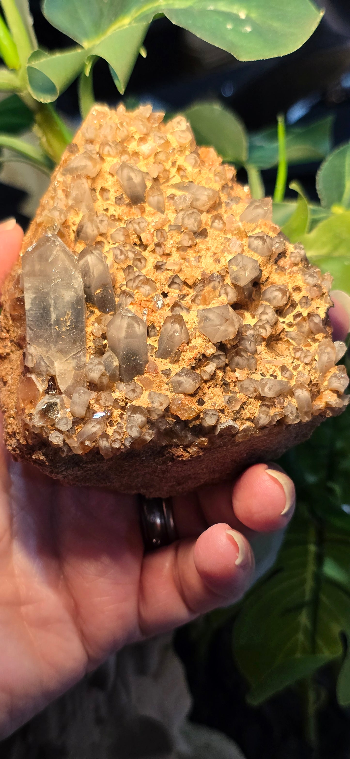 Orange River White Phantom Quartz – Orange River, South Africa Natural Mineral Specimen