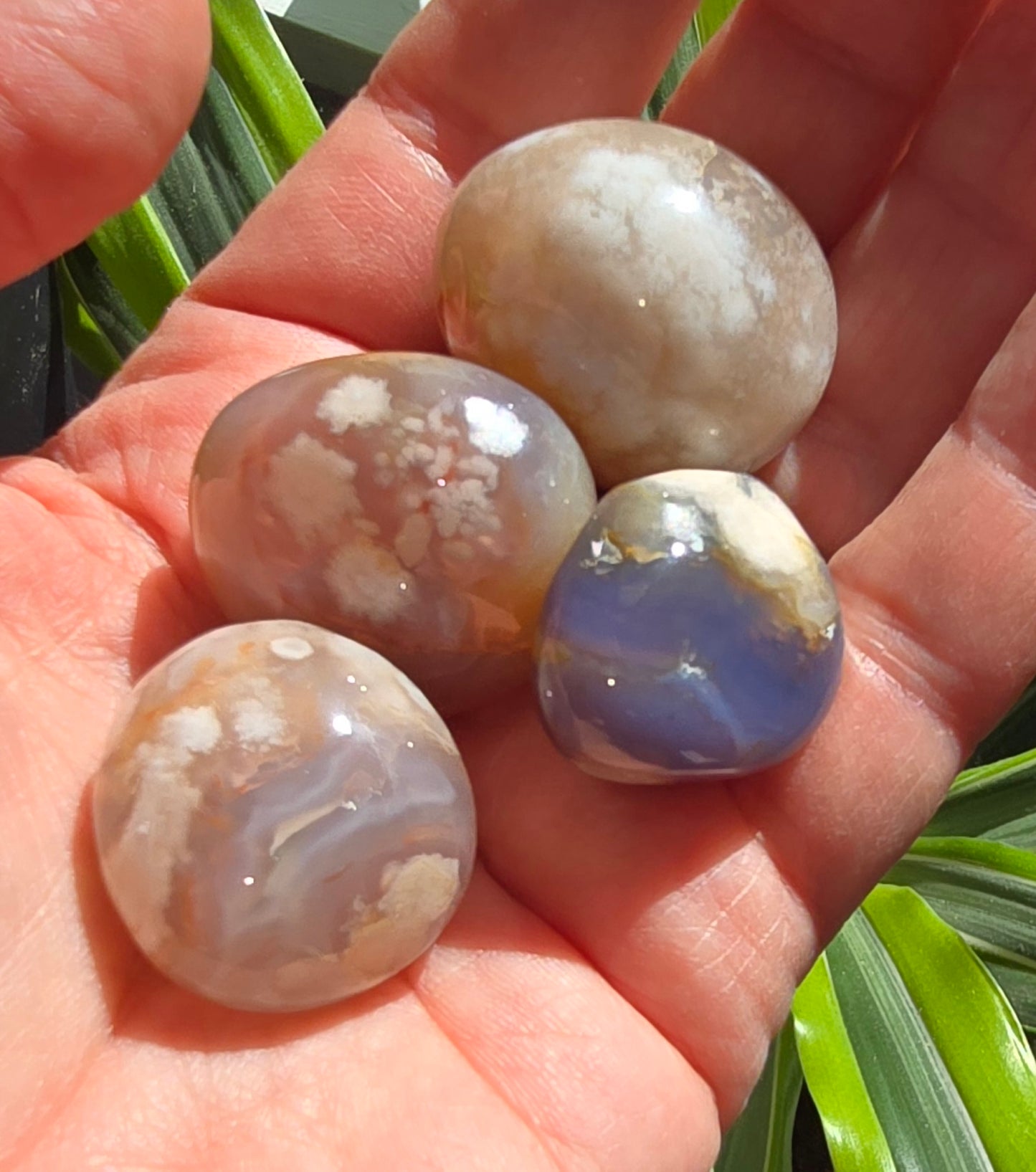 Flower Agate Tumbles (small)