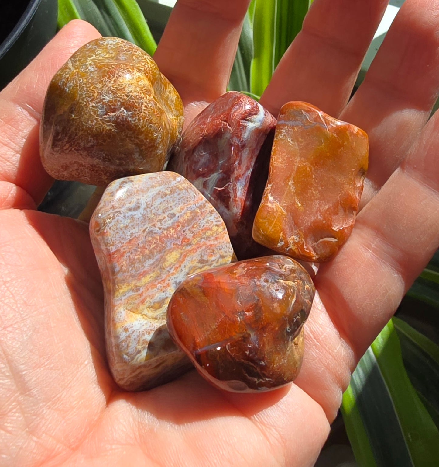 Red River Jasper Tumble – Natural Polished Stone