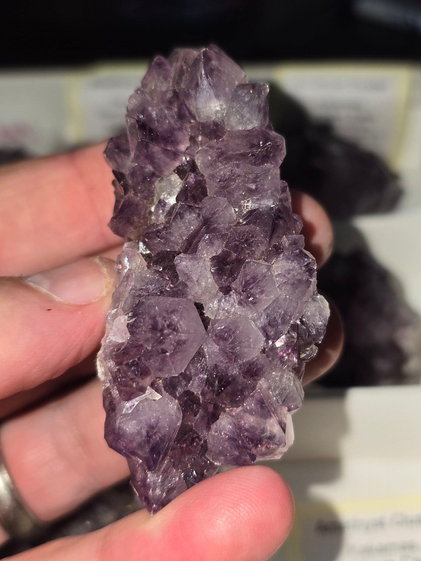 Amethyst Clusters from South Africa – Natural Mineral Specimen