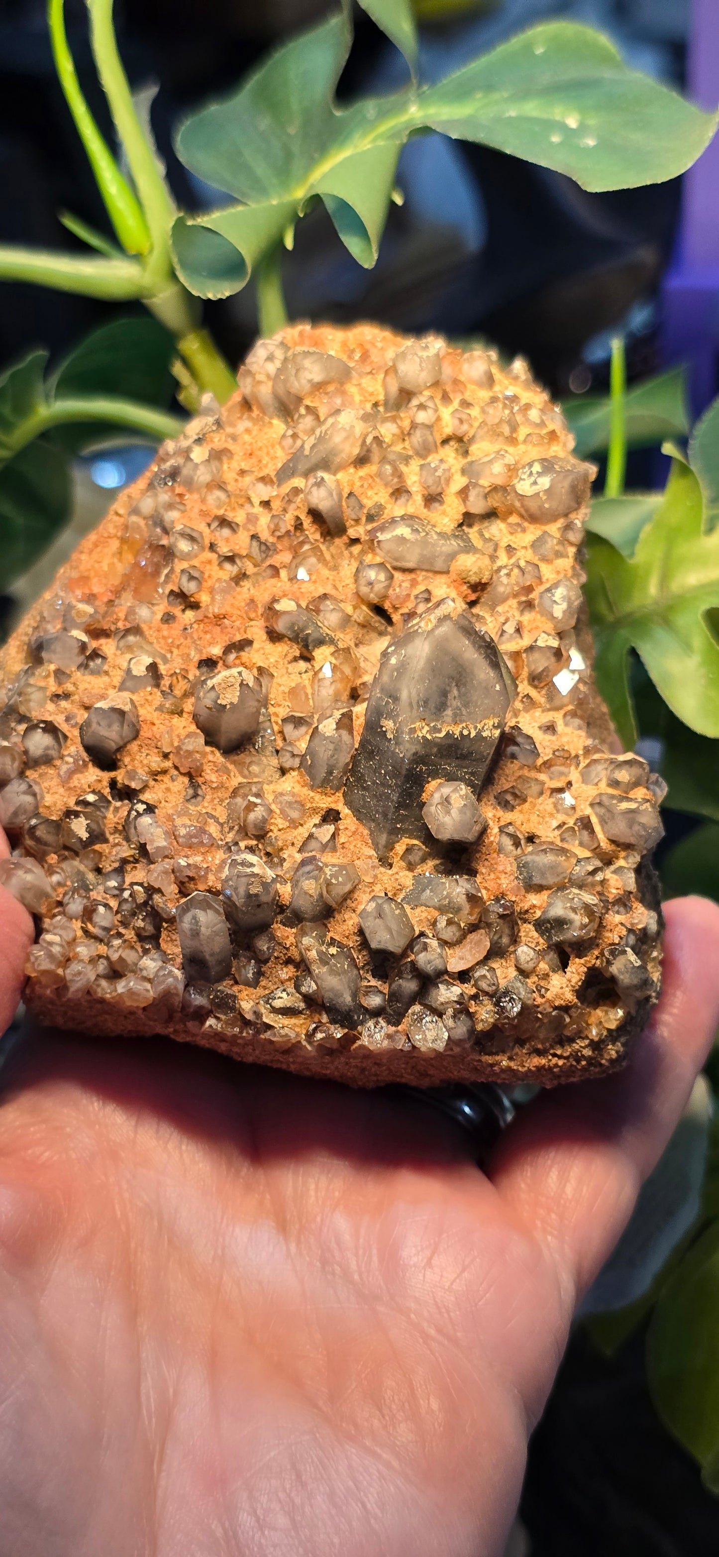 Orange River White Phantom Quartz – Orange River, South Africa Natural Mineral Specimen