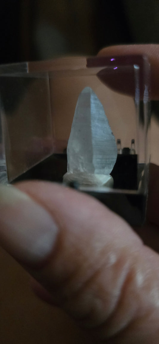 Lemurian w Magnetite