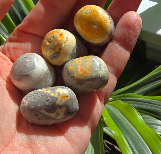 Bumblebee Jasper Tumble Jasper tumble stone