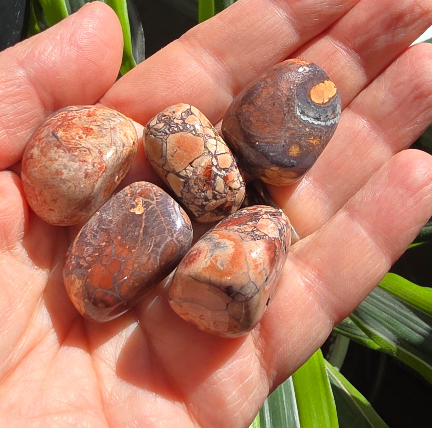 Rhyolite tumble stone