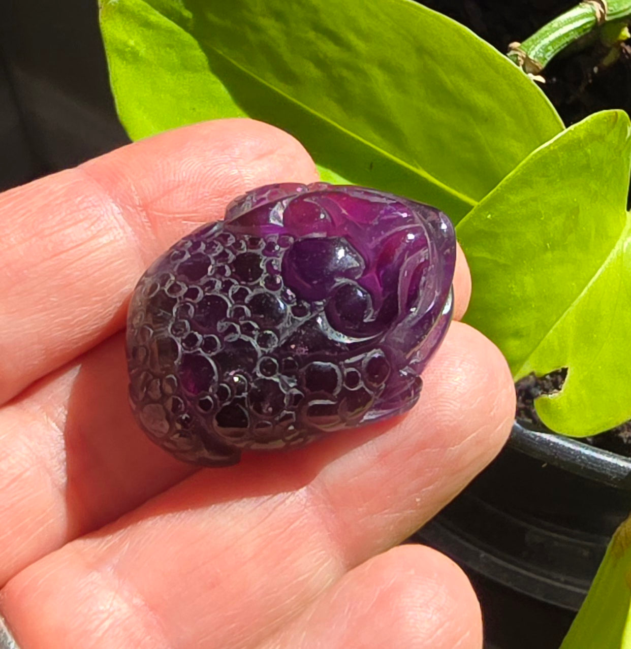 Amethyst Money Toad Carving – Natural Quartz