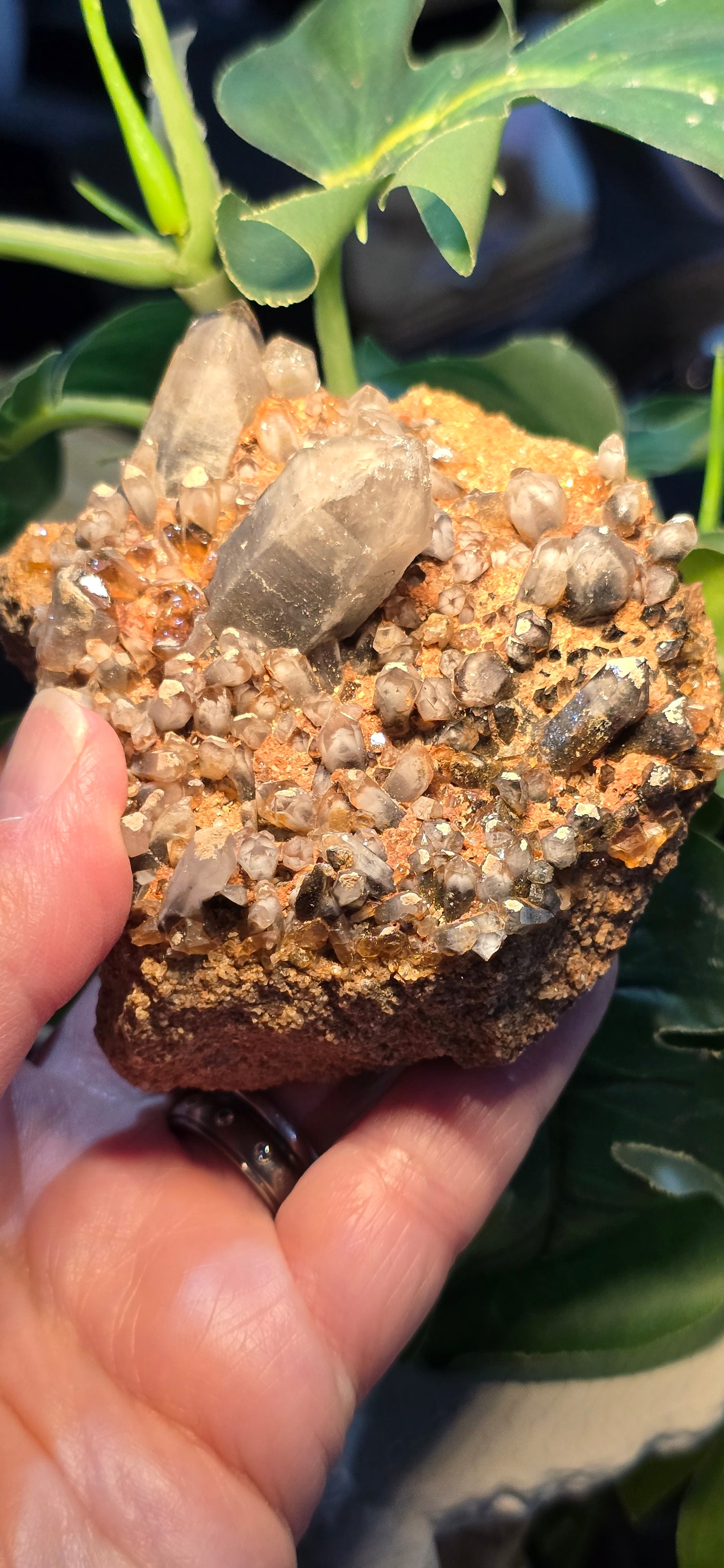 Orange River White Phantom Quartz – Orange River, South Africa Natural Mineral Specimen