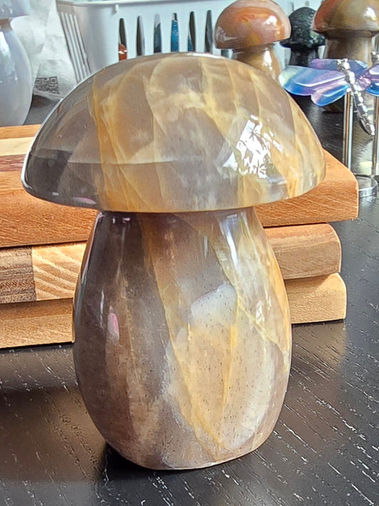 Black Moonstone Mushroom carving