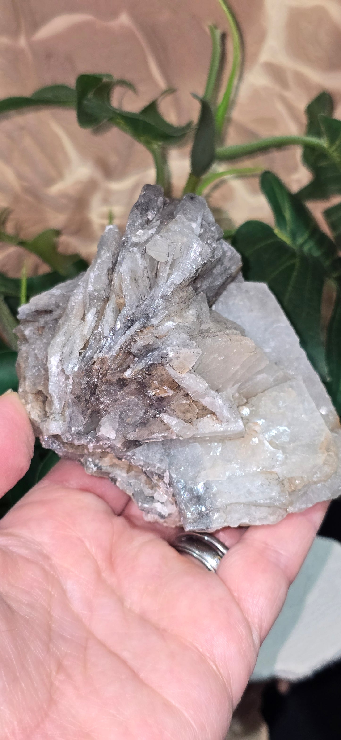 Barite Cluster Specimens – Natural Mineral