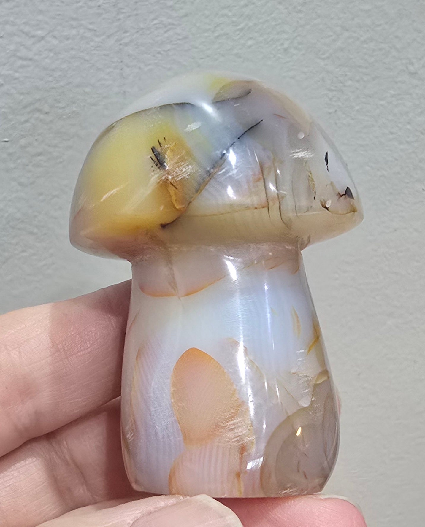 Agate Mushroom Carvings – Polished Natural Agate