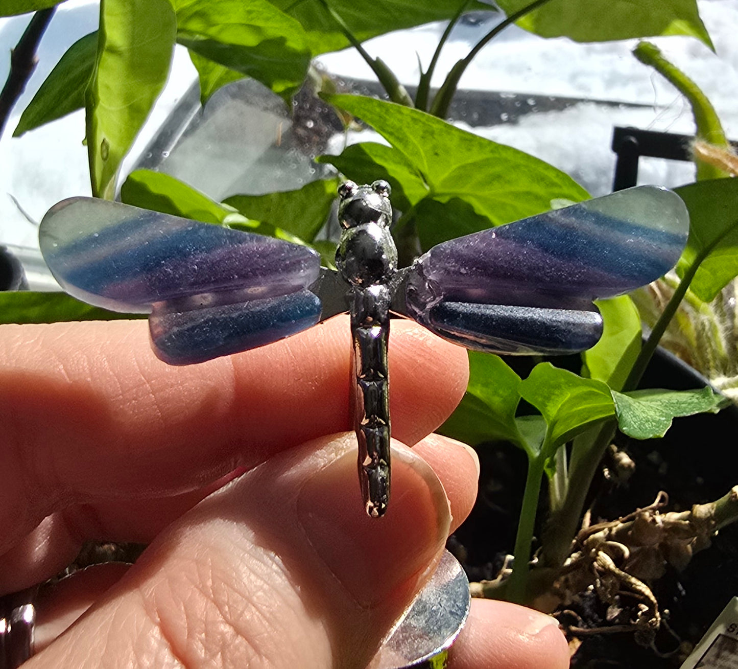 Rainbow Fluorite Dragonfly Wings on Metal Stand specimen - Genuine Nat