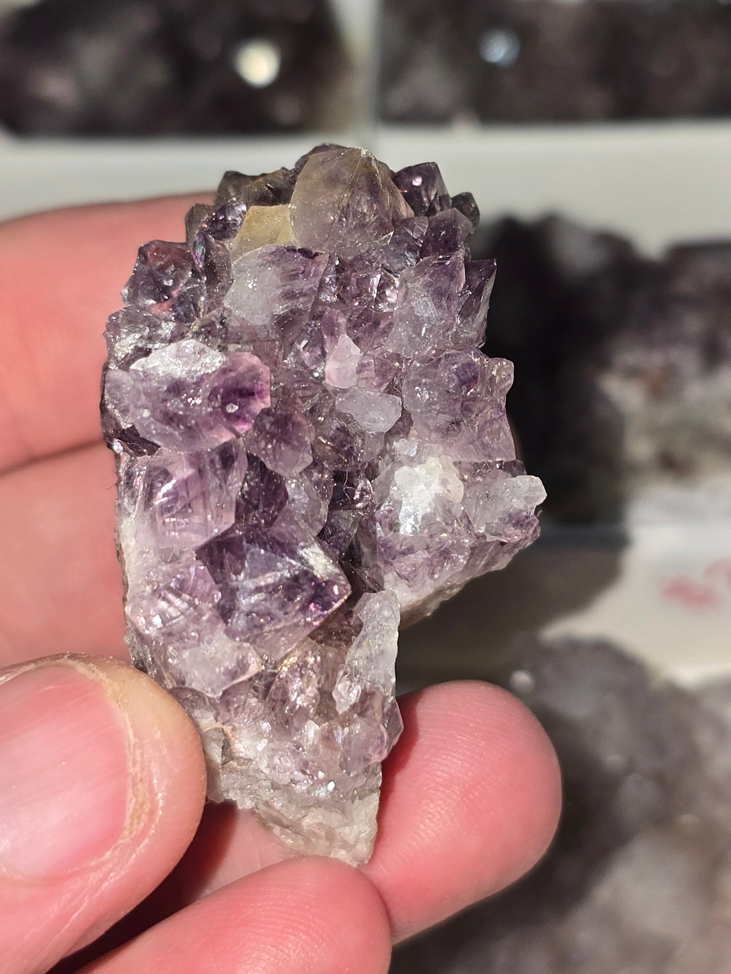 Amethyst Clusters from South Africa – Natural Mineral Specimen