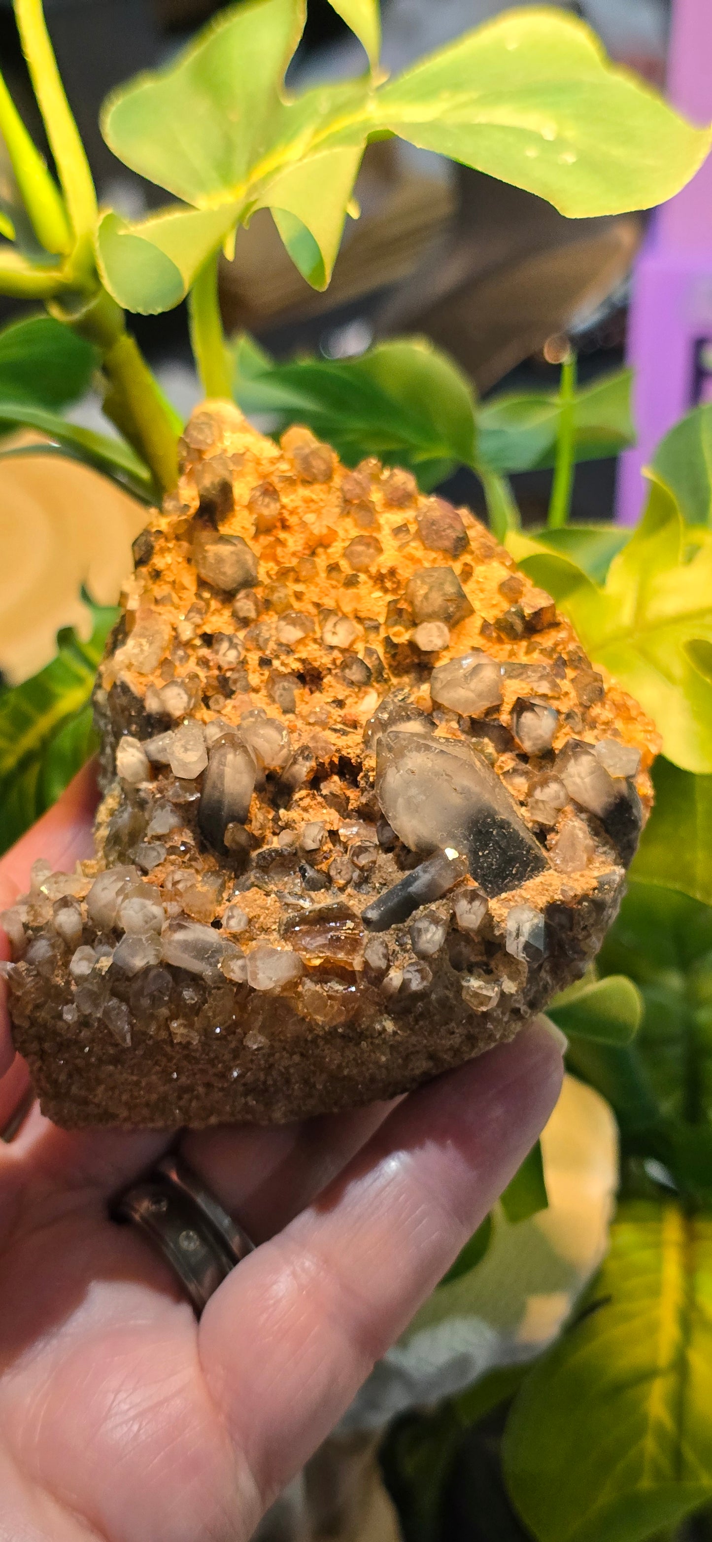Orange River White Phantom Quartz – Orange River, South Africa Natural Mineral Specimen