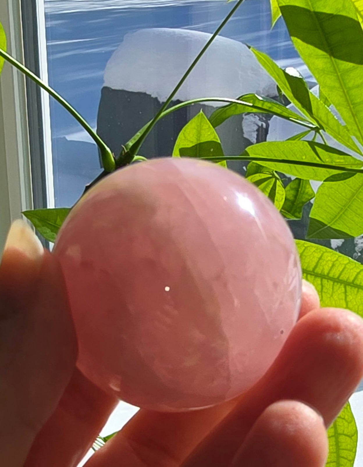 Rose Quartz Spheres – Polished Natural Quartz