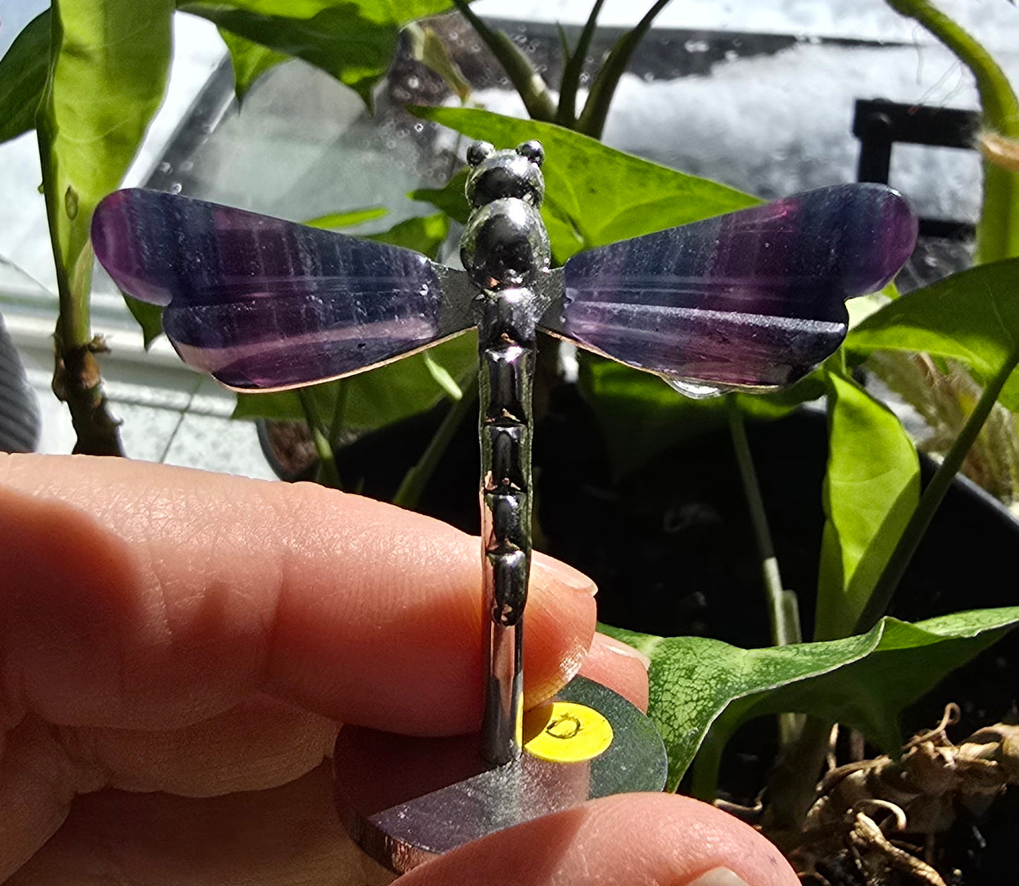 Rainbow Fluorite Dragonfly Wings on Metal Stand specimen - Genuine Nat