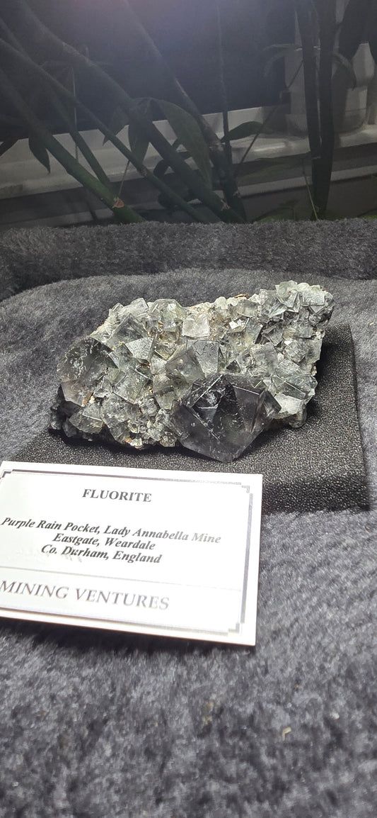 Purple Rain Pocket Fluorite