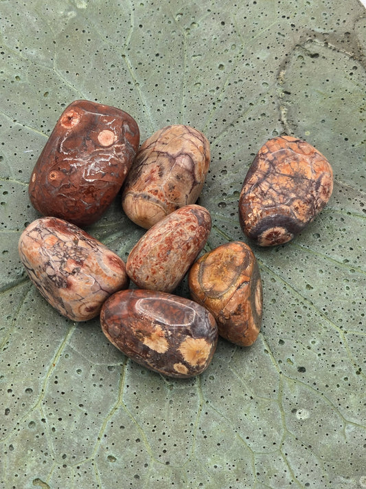 Bird's Eye Rhyolite Tumbles