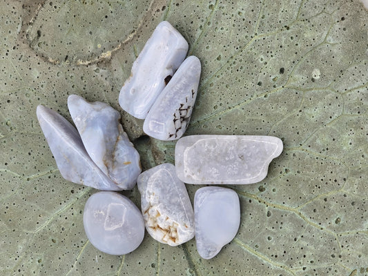 Blue Lace Agate Slices