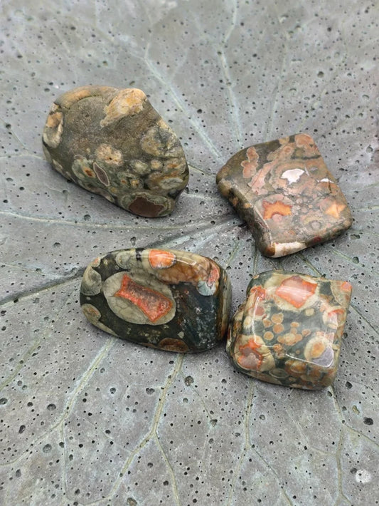 Rainforest Jasper Tumbles