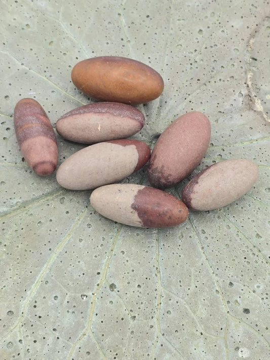 Shiva Lingams