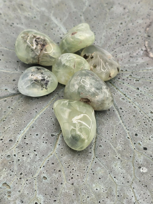 Epidote with Prehnite Tumbles