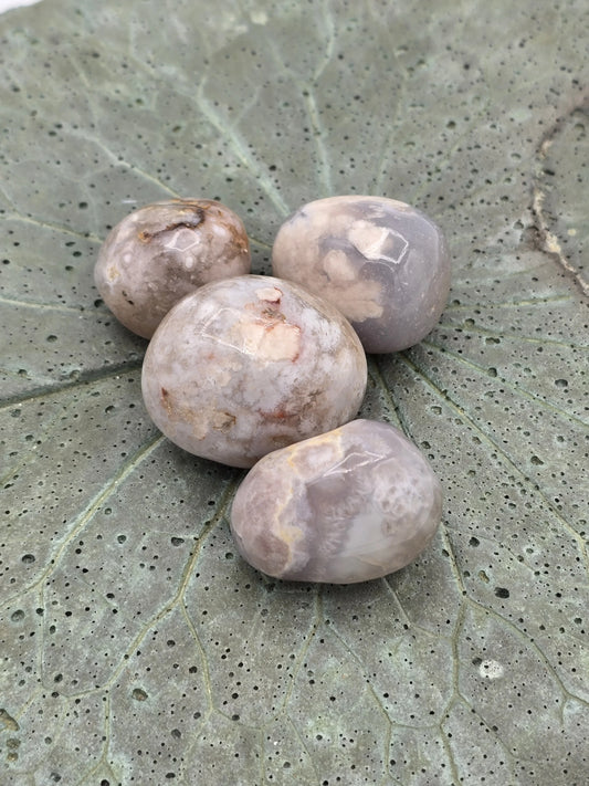 Flower Agate Tumbles (small)