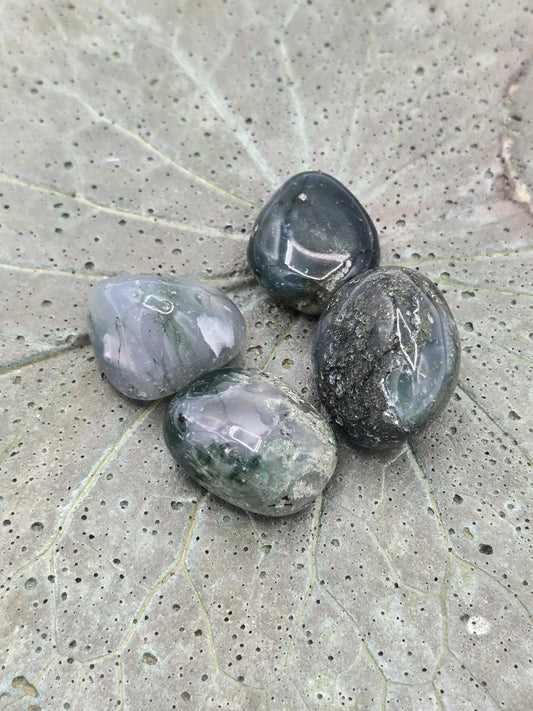 Moss Agate Tumbles