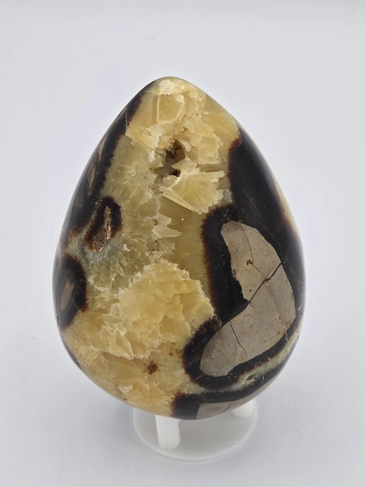 Septarian Egg