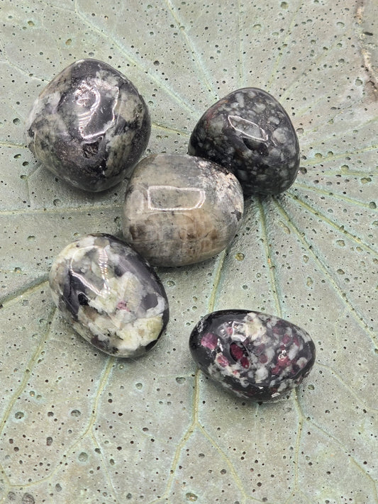 Eudialyte Tumbles