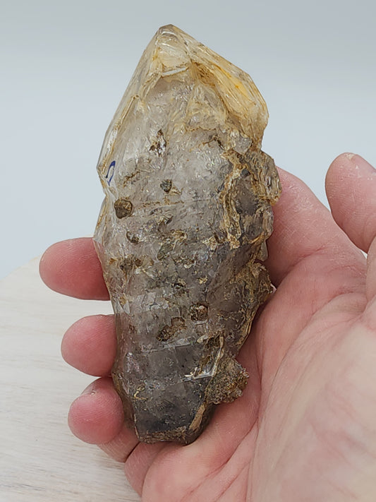 Skeletal Elestial Enhydro Quartz